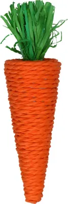 Produktbild von Pawise Nager Spielzeug Play & Chew Möhre