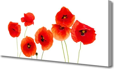 Produktbild von Tulup Leinwand-Bilder 125x50 Wandbild Canvas Kunstdruck Mohnblumen Pflanzen