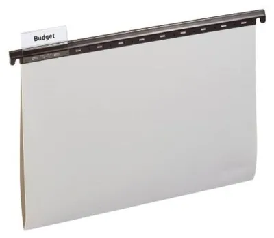 Image de DURABLE Dossier suspendu A4 PP 25 pcs 256310