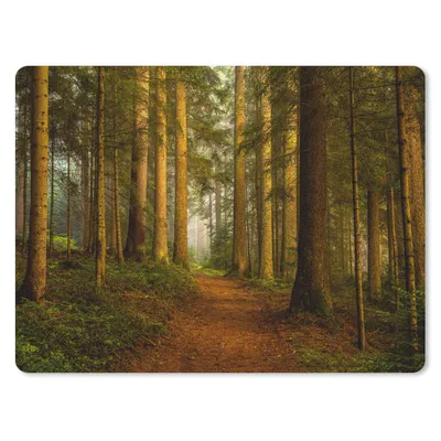 Produktbild von MuchoWow® Mauspad Mousepad Wald - Natur - Bäume - Landschaft - Laub 40x30 cm - Mousepads - Maus Mat - Pad - Mausunterlage - Anti Rutsch