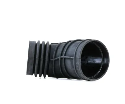 Produktbild von RIDEX 1591I0013 Ansaugschlauch Luftfilter für BMW 3 Limousine (E46)