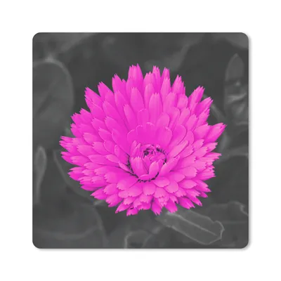 Produktbild von MuchoWow® Mauspad Mousepad Blumen - Aquarell - Rosa 30x30 cm - Mousepads - Maus Mat - Pad - Mausunterlage - Gaming
