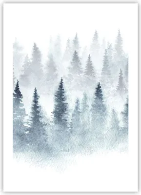 Produktbild von Poster - Poster ohne Rahmen - Bäume Wald Natur - 50x70 cm - Wand Bild - Wanddeko - Wandbilder - Kunstposter - Wandposter - Bilder - Kunstdruck - Wanddekoration - Wandbild - P2XPA50x70-3981