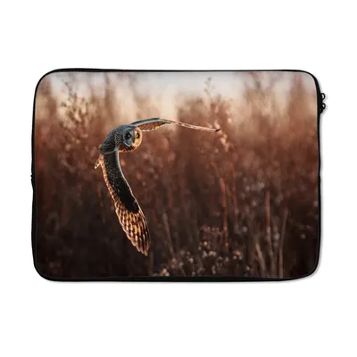 Produktbild von MuchoWow® Laptop Hülle 14 ZollVogel - Eule - Sonnenuntergang - Natur Laptoptasche - Laptoptasche - Stoßsicher - Schutzhaube