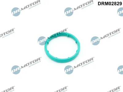 Zdjęcie produktu dla Uszczelka Chlodnicy Oleju Volvo S60 2.0 2.4D 11-