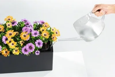Obrázok produktu pre LECHUZA Balconera 50 balkónový kvetináč, 50x19 cm, polypropylén, hnedý, vnútorný a vonkajší