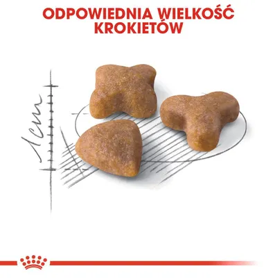 Zdjęcie produktu dla Royal Canin Feline Sensible 33, Dorosły, 2 kg
