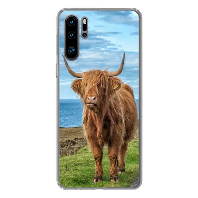 Produktbild von MuchoWow® Handyhülle Schutzhülle Hülle für Huawei P30 Pro Schottischer Highlander - Wasser - Hörner Silikon Softcase Handy Hülle - Schutzdeckel