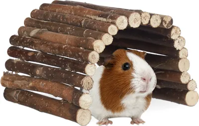Produktbild von relaxdays Nagerbrücke Holz für Kleintiere