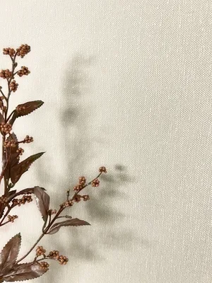 Produktbild von NEWROOM Tapete Beige Vliestapete Unifarbe - Universal Modern Taupe Creme Struktur Monochrom Einfarbig Uni