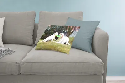 Produktbild von MuchoWow® Zierkissen Sofakissen Wohnzimmer Dekokissen 60x40 cm Hund mit seinem Welpen und einem Frisbee - Kopfkissen - Polster mit Foto