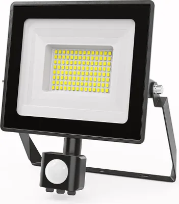 Image de HOFTRONIC - Projecteur LED avec détecteur de mouvement 50W 6500K IP65 Noir