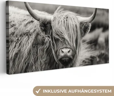 Produktbild von MuchoWow® - Leinwandbilder - Schottischer Highlander - Kuh - Tiere - Schwarz-Weiß - Ländlich, Wandbild, Wanddeko Bilder Wohnzimmer, 80x40 cm