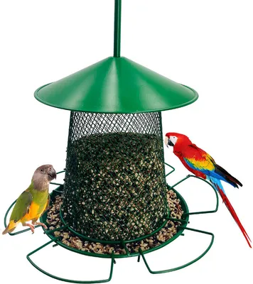 Image de (Vert, 6 LB) Maisons pour oiseaux, Maisons pour oiseaux sauvages pour l'extérieur, 6 graines LB, Maisons pour oiseaux en métal à suspendre au toit, à suspendre à l'extérieur pour le jardin, faciles à nettoyer