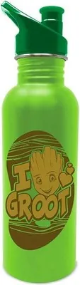 Produktbild von Groot-Wasserflasche, wiederverwendbar, umweltfreundlich, 20 oz Fassungsvermögen