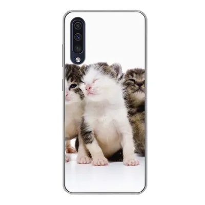 Produktbild von MuchoWow® Handyhülle Schutzhülle Hülle für Samsung Galaxy A50 Katze - Haustiere - Fell - Porträt Silikon Softcase Handy Hülle - Mobiltelefonhülle