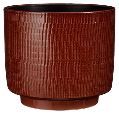William Topf rond Braun