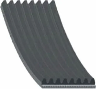 Productafbeelding van Multiriem Scania 94 114 124 144 164 | 1 389 020, 1 389 031, met ribben