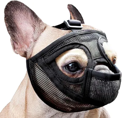 Produktbild von Hundemaulkorb Mesh, Größe S, verstellbar, für kleine Hunde