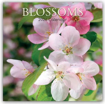 Image de Blossoms - Blossoms 2026 - calendrier de 16 mois
