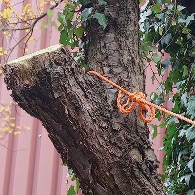 Produktbild von Universalseil, 8 mm, 20 m, orange
