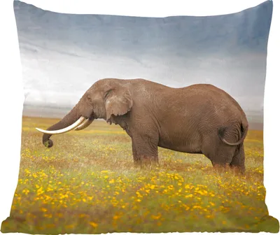 Produktbild von MuchoWow® Zierkissen Sofakissen Wohnzimmer Dekokissen 50x50 cm Elefant - Tiere - Blumen - Gras - Natur - Komfort - Sofakissen