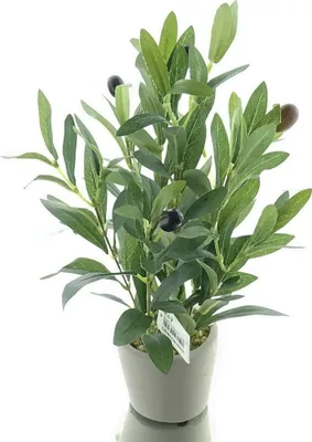 Produktbild von DPI Olivenbaum Mini im Steintopf 28 cm - Kunstpflanzen