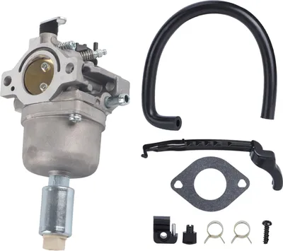 Obrázek produktu pro Náhradní karburátor zahradní sekačky pro Nikki 697203 pro Briggs Straton 795873