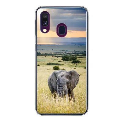Produktbild von MuchoWow® Handyhülle Schutzhülle Hülle für Samsung Galaxy A40 Elefant - Tiere - Landschaft - Sonne - Natur Silikon Softcase Handy Hülle - Handy-Tasche
