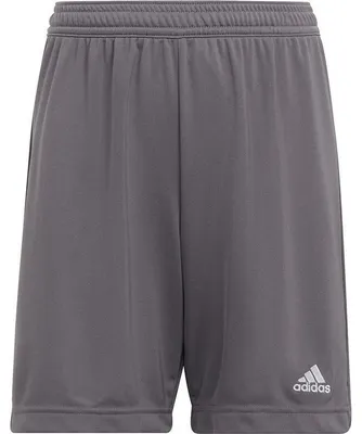 Image de Adidas - Short « Entrada 22 » pour enfants MR78531 (140) (gris)
