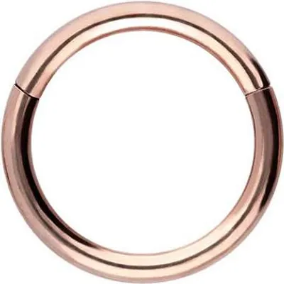 Produktbild von Ohrpiercing, Nasenpiercing, Septum Piercing Titan Segmentring Clicker RoséGold Innendurchmesser: 5mm + Stabstärke: 0,8mm
