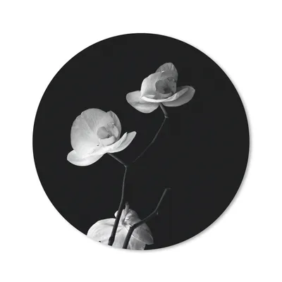 Produktbild von MuchoWow® Mauspad Mousepad Orchidee - Blumen - Schwarz - Weiß - Stilleben 20x20 cm - Mousepads - Maus Mat - Pad - Mausunterlage - Schreibtischmatte