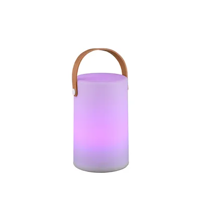 Zdjęcie produktu dla TRIO r57080101, Biały, Plastik, IP44, III, Moduł LED SMD, 1 szt.