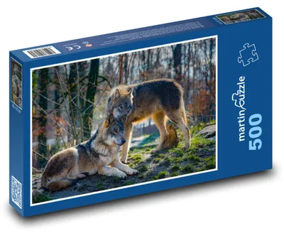 Obrázok produktu pre Puzzle 500 Vlci v lese - martinpuzzle