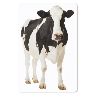 Produktbild von MuchoWow® Mauspad Mousepad Kuh - Weiß - Schwarz - Tiere 40x60 cm - Mousepads - Maus Mat - Pad - Mausunterlage - Schreibtisch Accesoire