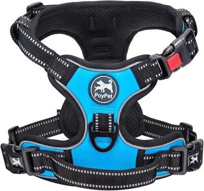 Produktbild von Famanu Hundegeschirr reflektierend - Blau, Größe S