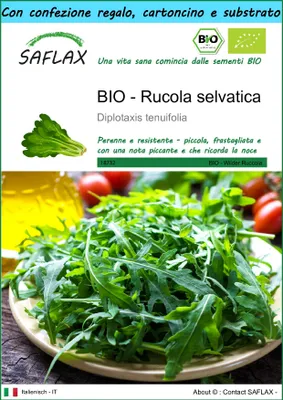 Immagine prodotto di SAFLAX Set regalo -- Rucola selvatica - 1500 semi - Diplotaxis