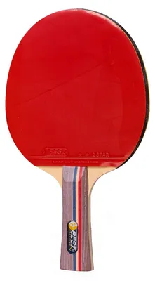 Image de Raquette de tennis de table Best Sporting : idéale pour l'entraînement des débutants et des joueurs amateurs