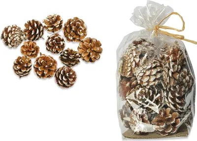 Produktbild von Zapfenmischung Schwarzkiefer natur/weiß 5 cm
