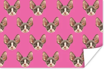 Produktbild von MuchoWow® Poster Haustier - Rosa - Muster 90x60 cm - Schlafzimmer