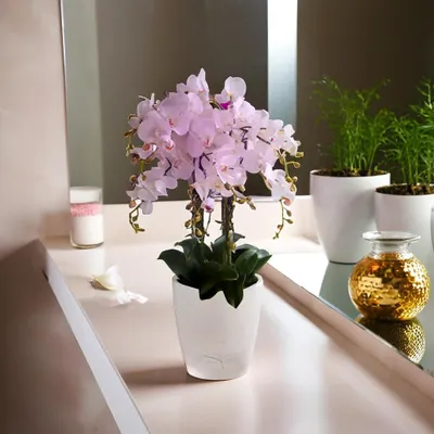 Produktbild von Orchideen Topf 12cm transparent mit Wasserstandsanzeige