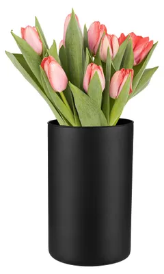 Zylindervase, schwarz matt, 21,5 cm, 2800 ml, Ø 13,5 cm