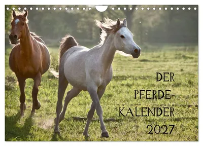 Produktbild von Pferdekalender (Wandkalender 2027 DIN A4 quer), CALVENDO Monatskalender