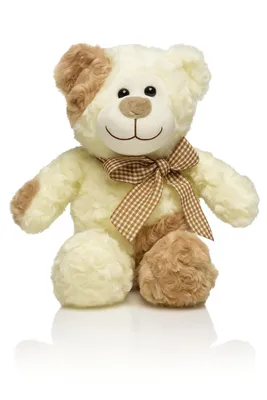 Produktbild von Kuscheltier Teddybär 22 cm weiß braun – Weiches Plüschtier, Stofftier