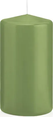 Produktbild von Stumpenkerzen Pastell Grün Aloe Vera Ø 48 x 100 mm, 24 Stück