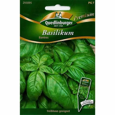 Immagine prodotto di Quedlinburger Saatgut - Basilikum Bavires - semi - 293095