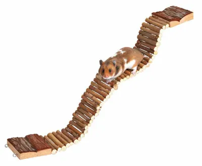 Immagine prodotto di Hängebrücke 55 × 7 cm