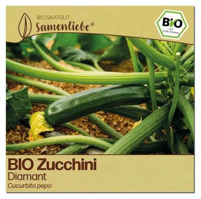 Produktbild von Samenliebe  Zucchini Samen | Diamant - glatte & frühe Sorte - samenfestes  Saatgut