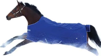Produktbild von Amigo Hero 900 Medium Weidedecke Blau 145-198 cm Blau 145-198 cm