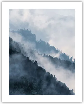Produktbild von Poster - Poster ohne Rahmen - Berge Nebel Bäume - 40x50 cm - Wand Bild - Wanddeko - Wandbilder - Kunstposter - Wandposter - Bilder - Kunstdruck - Wanddekoration - Wandbild - P2XPA40x50-4429